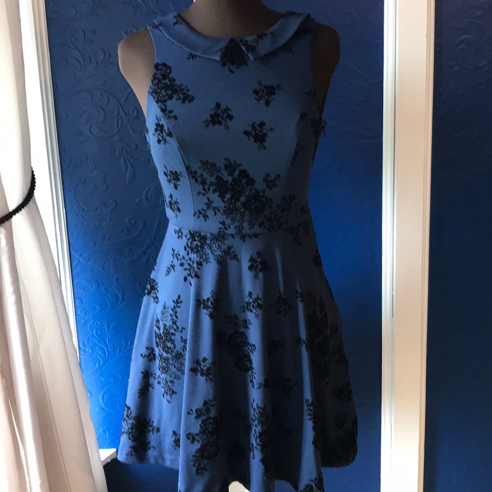 Lauren Conrad 🌹 dress velour Raised appliqué. - Picture 3 of 8